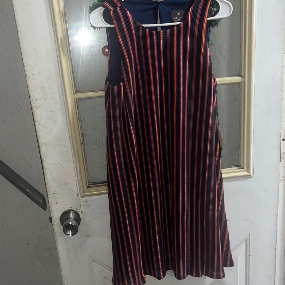 Adrianna Papell Striped Multicolor Dress
